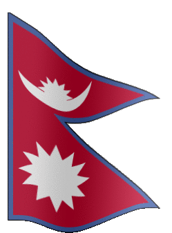 logo_flag